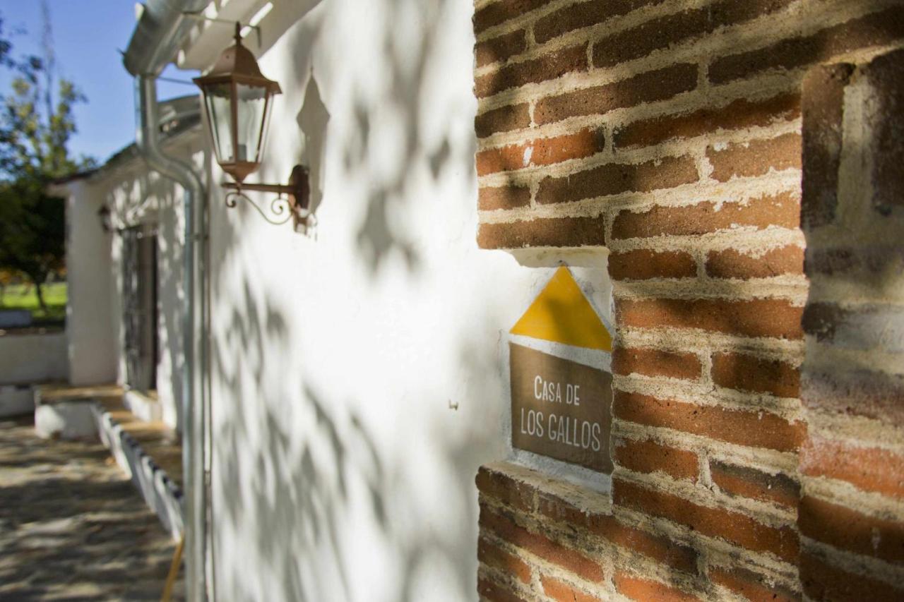 Lagar De Vina Vieja Pension Cazalla de la Sierra Buitenkant foto